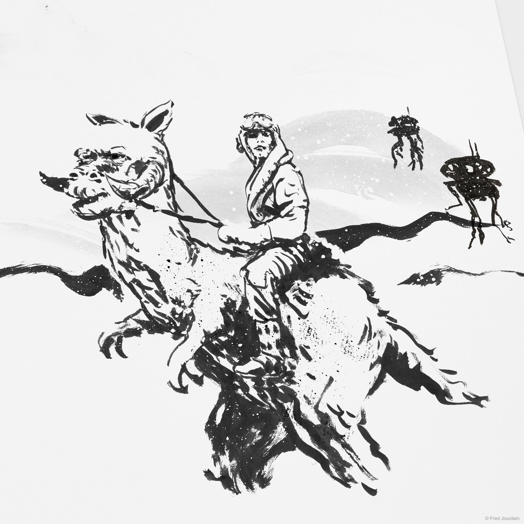 Luke tauntaun - Star Wars